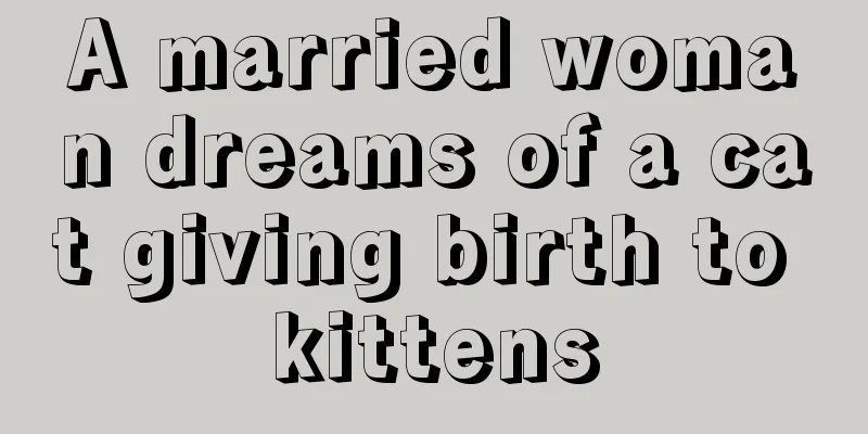 A married woman dreams of a cat giving birth to kittens