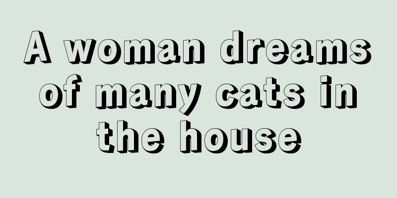 A woman dreams of many cats in the house