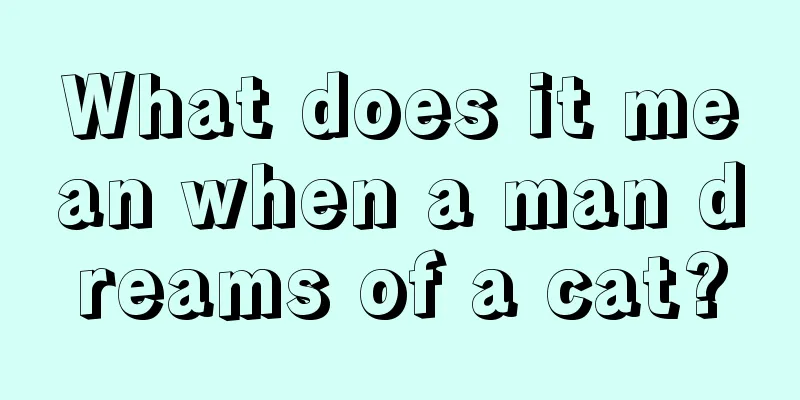 What does it mean when a man dreams of a cat?