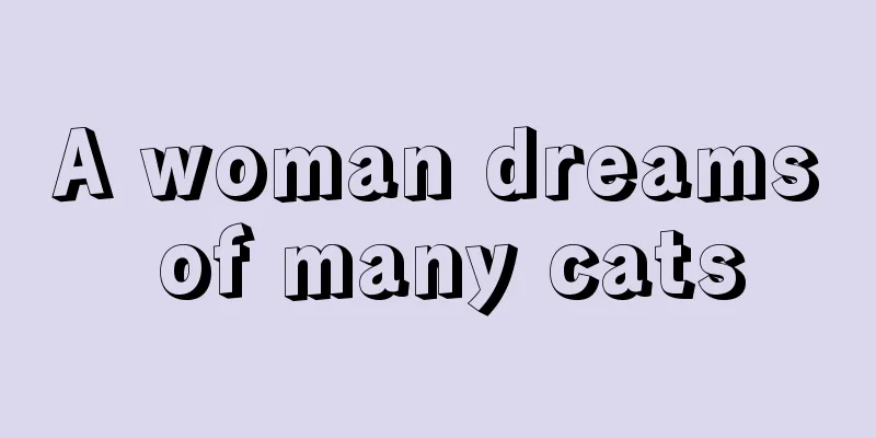 A woman dreams of many cats