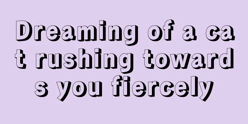 Dreaming of a cat rushing towards you fiercely