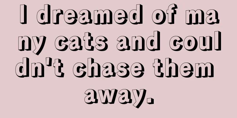 I dreamed of many cats and couldn't chase them away.