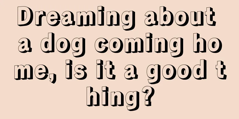 Dreaming about a dog coming home, is it a good thing?