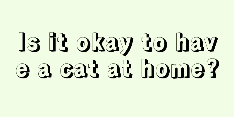 Is it okay to have a cat at home?