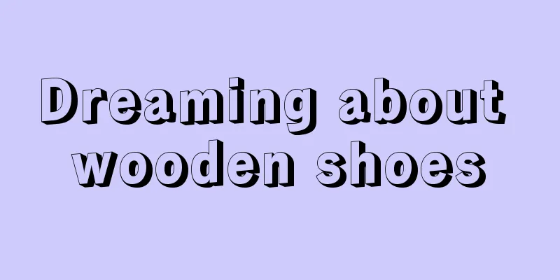 Dreaming about wooden shoes