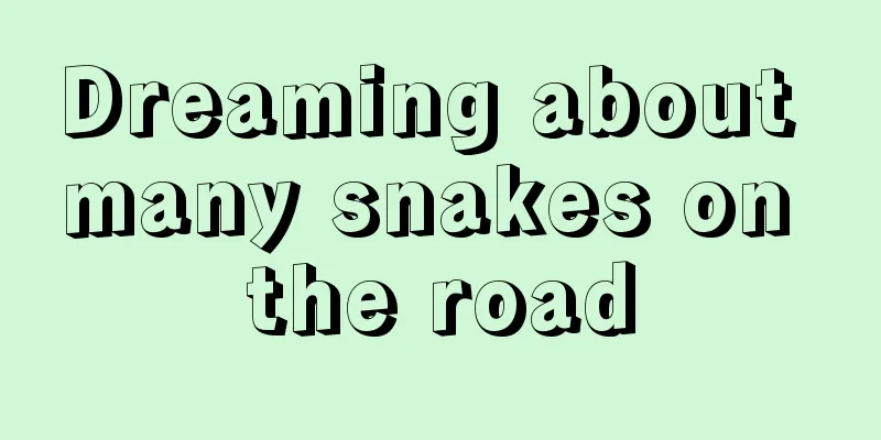 Dreaming about many snakes on the road