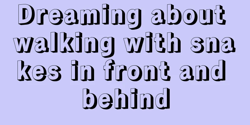 Dreaming about walking with snakes in front and behind