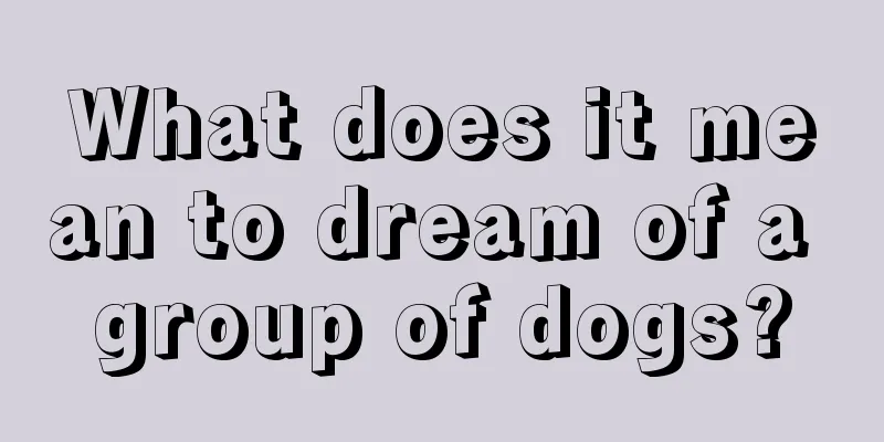 What does it mean to dream of a group of dogs?