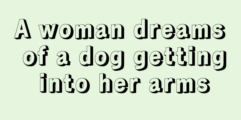 A woman dreams of a dog getting into her arms