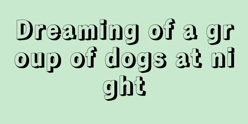 Dreaming of a group of dogs at night