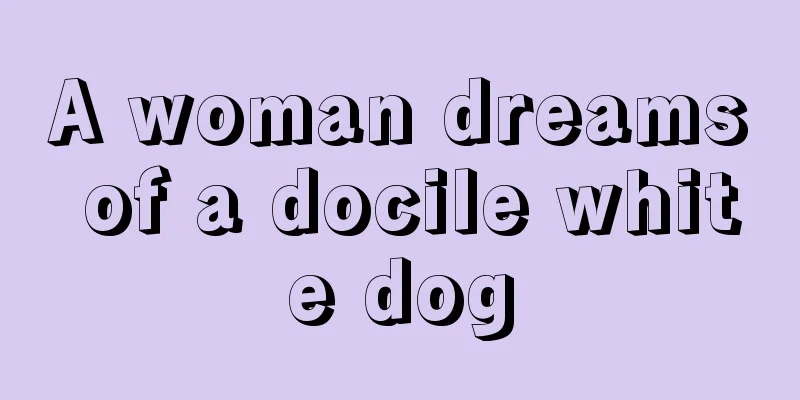 A woman dreams of a docile white dog