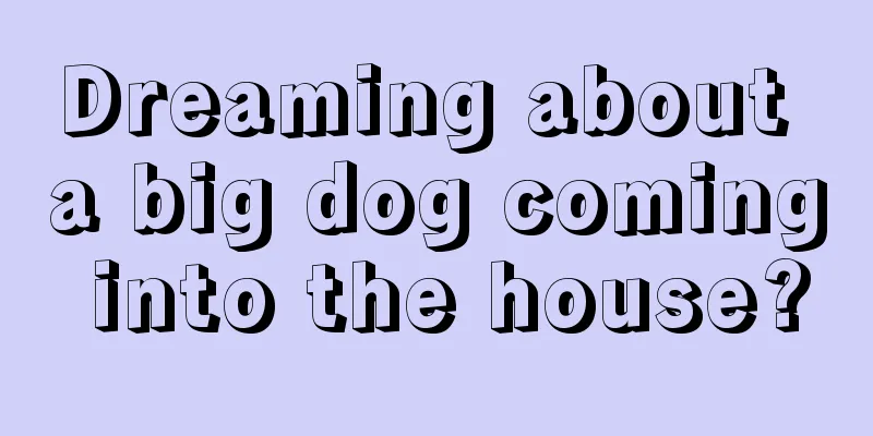 Dreaming about a big dog coming into the house?