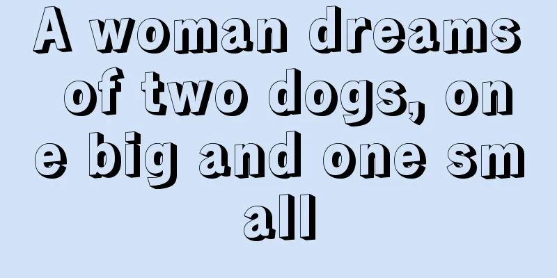 A woman dreams of two dogs, one big and one small