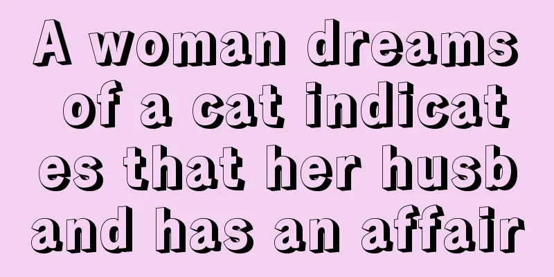 A woman dreams of a cat indicates that her husband has an affair