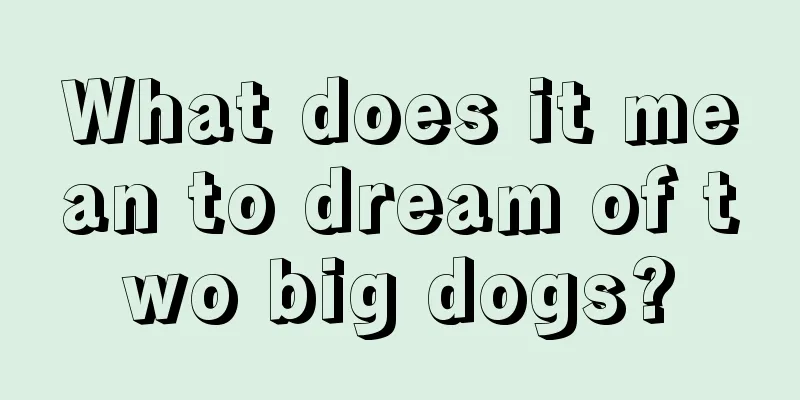 What does it mean to dream of two big dogs?