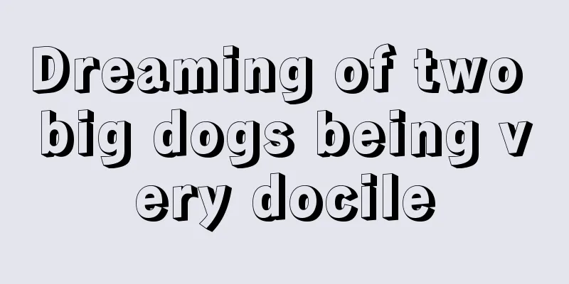 Dreaming of two big dogs being very docile