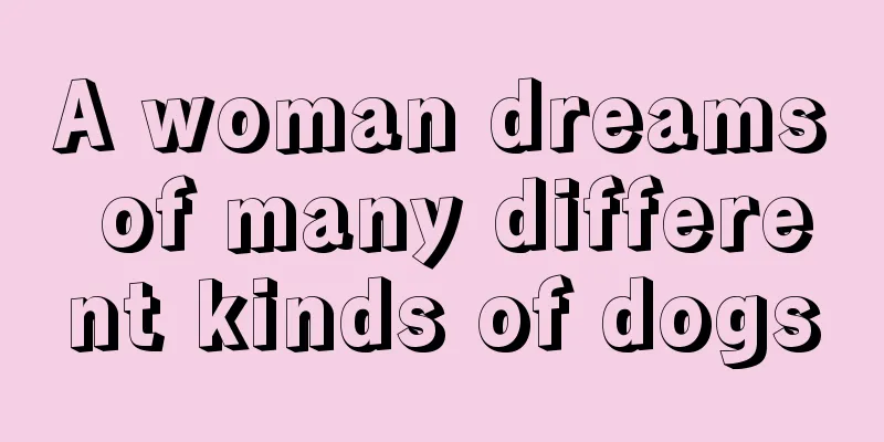 A woman dreams of many different kinds of dogs