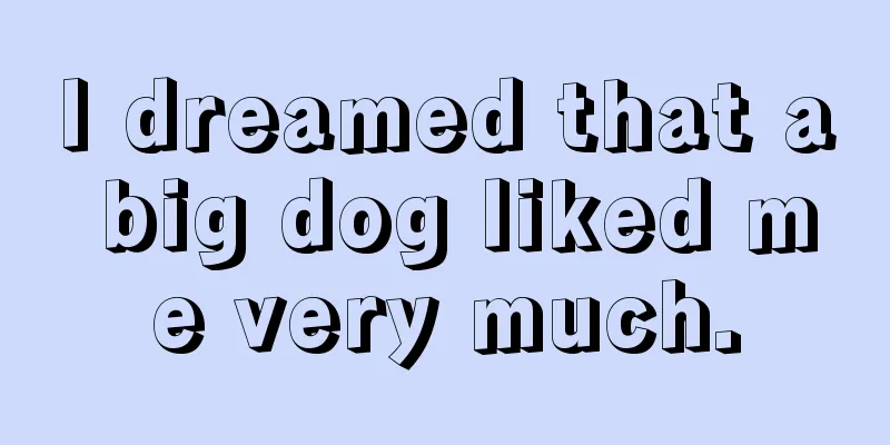 I dreamed that a big dog liked me very much.