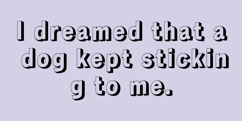 I dreamed that a dog kept sticking to me.