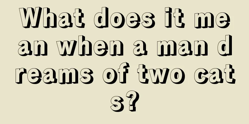 What does it mean when a man dreams of two cats?