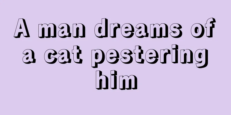 A man dreams of a cat pestering him