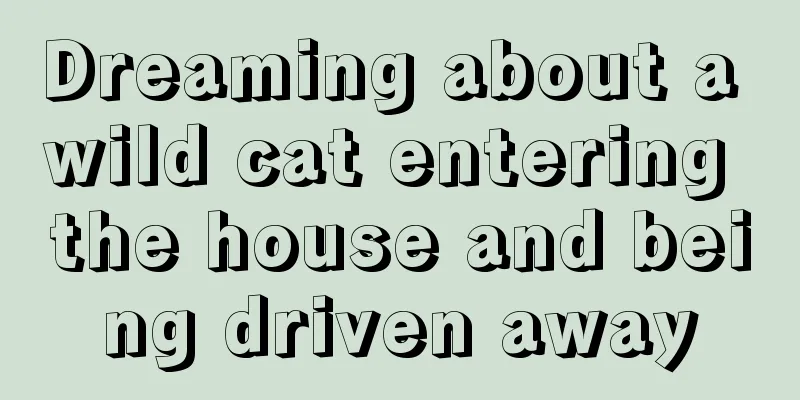 Dreaming about a wild cat entering the house and being driven away