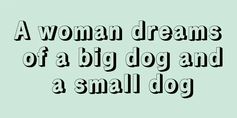 A woman dreams of a big dog and a small dog