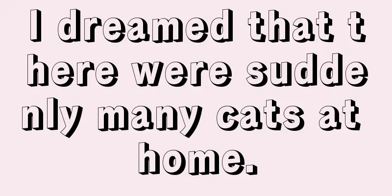 I dreamed that there were suddenly many cats at home.