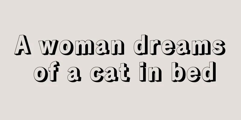 A woman dreams of a cat in bed