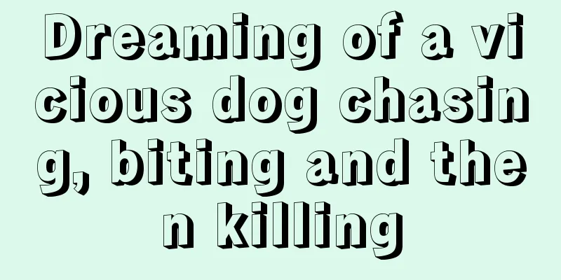 Dreaming of a vicious dog chasing, biting and then killing