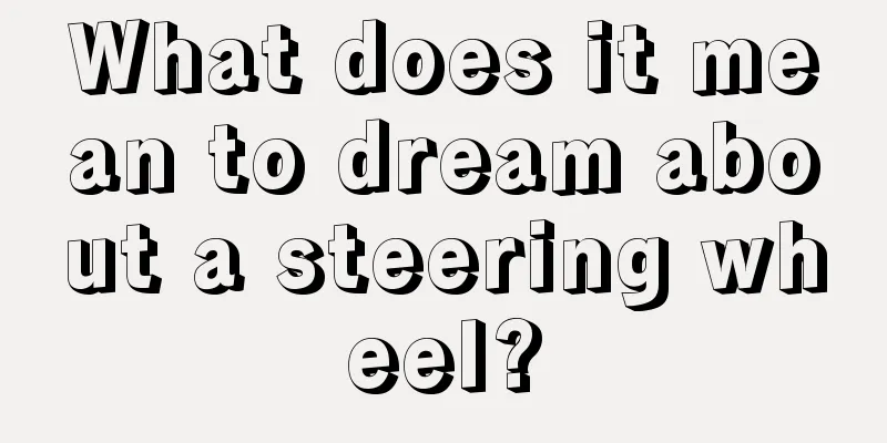 What does it mean to dream about a steering wheel?