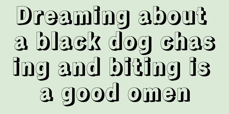 Dreaming about a black dog chasing and biting is a good omen