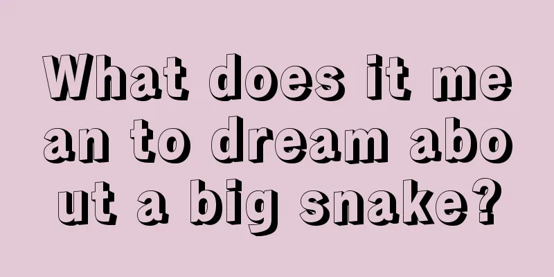 What does it mean to dream about a big snake?