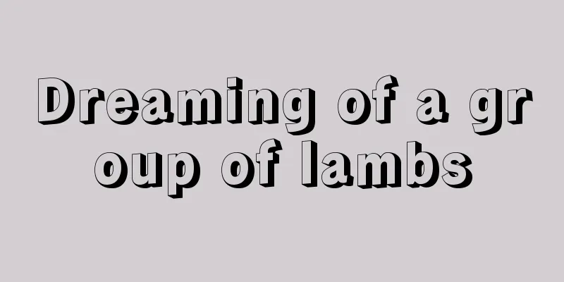 Dreaming of a group of lambs