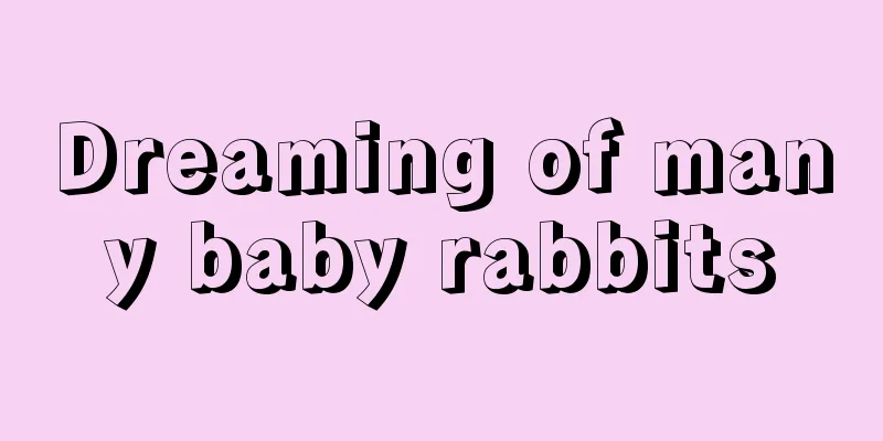 Dreaming of many baby rabbits