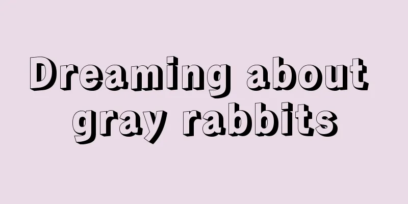 Dreaming about gray rabbits