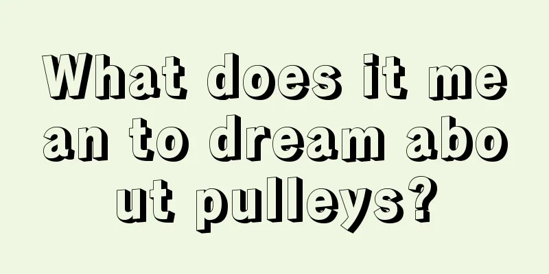 What does it mean to dream about pulleys?