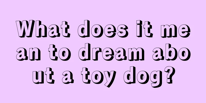 What does it mean to dream about a toy dog?