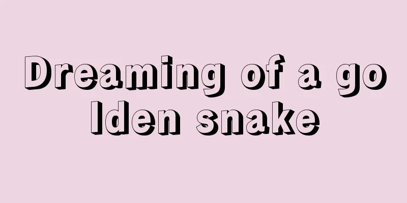 Dreaming of a golden snake