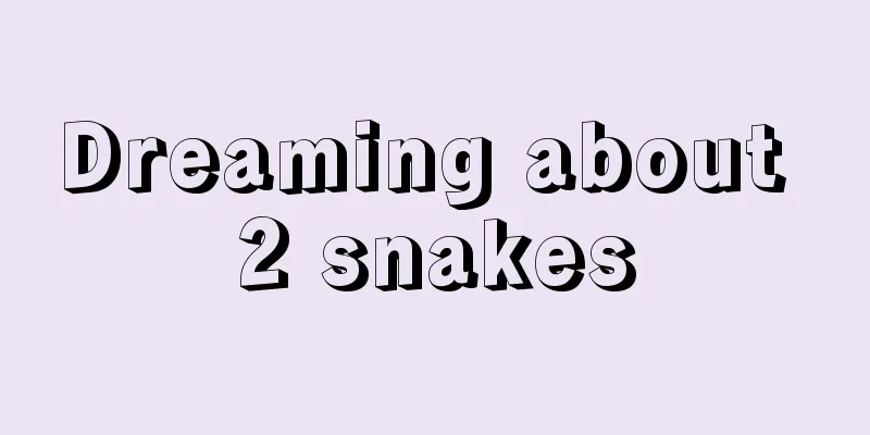 Dreaming about 2 snakes