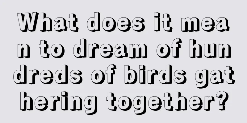 What does it mean to dream of hundreds of birds gathering together?