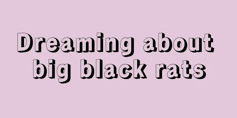 Dreaming about big black rats