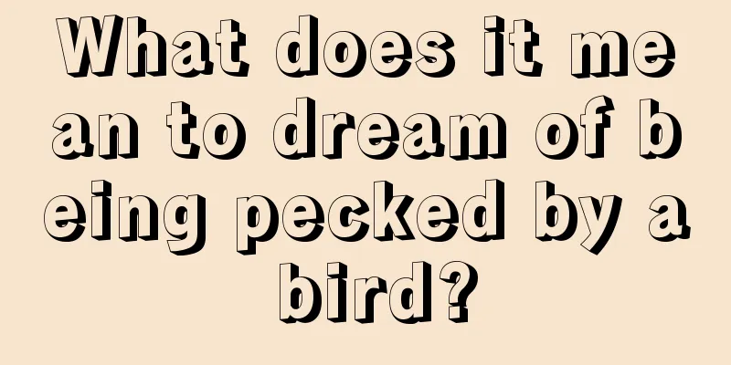 What does it mean to dream of being pecked by a bird?