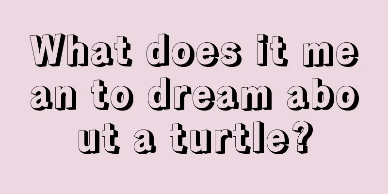 What does it mean to dream about a turtle?