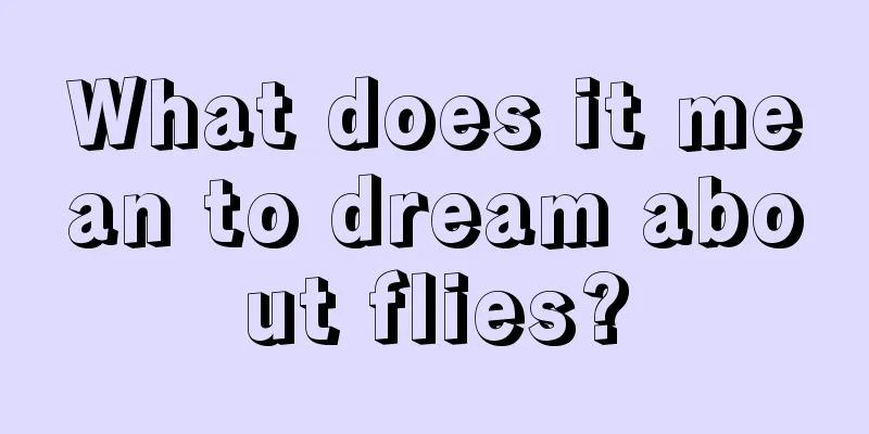 What does it mean to dream about flies?