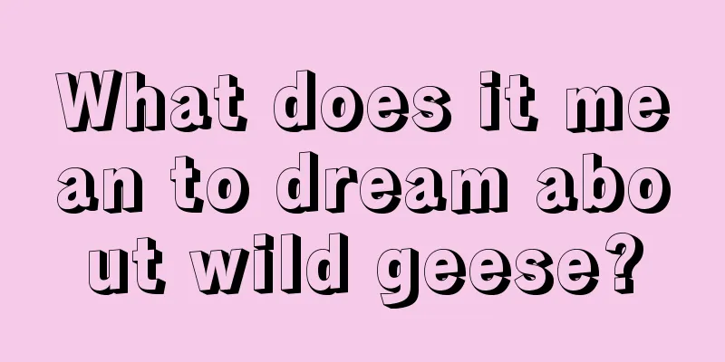 What does it mean to dream about wild geese?