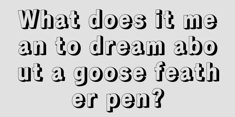 What does it mean to dream about a goose feather pen?