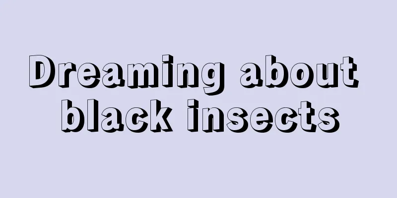 Dreaming about black insects