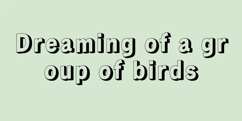 Dreaming of a group of birds