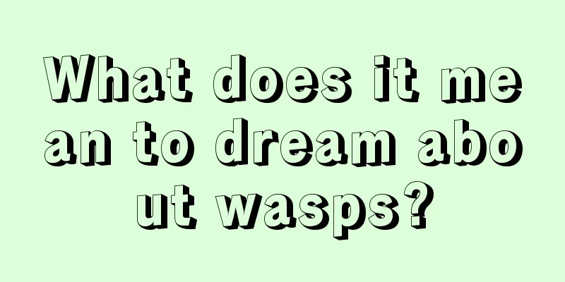 What does it mean to dream about wasps?